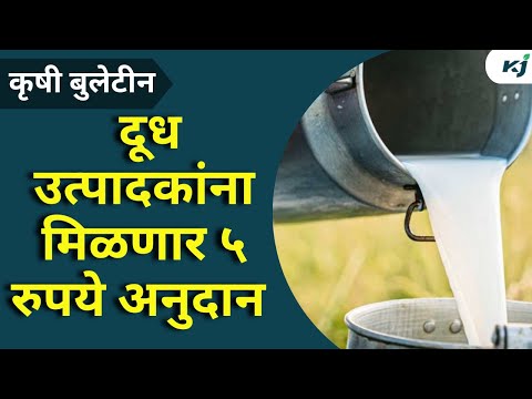 Agriculture News:दुध उत्पादकांना मिळणार ५ रूपये अनुदानMilk Subsidy | Toor Dal | Sugarcane | Weather