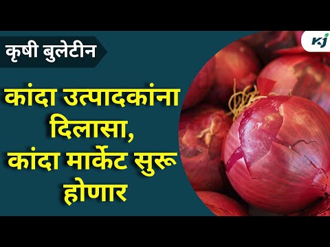 Onion Market News:नंदुरबार जिल्ह्यातील कांदा उत्पादकांना दिलासा, कांदा मार्केट सुरू होणार