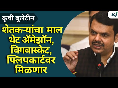 Agriculture : आता शेतकऱ्यांचा माल थेट अ‍ॅमेझॉन, बिग बास्केट ,फ्लिपकार्टवर मिळणार | Devendra Fadanvis