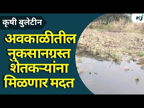 Crop damage help news: अवकाळीतील नुकसानग्रस्त शेतकऱ्यांना मिळणार निधी