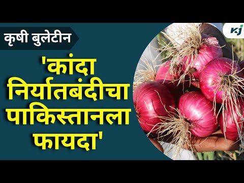 Onion Export Ban News: 'कांदा निर्यातबंदीच्या निर्णयाने पाकिस्तानचे चांगले केले' |