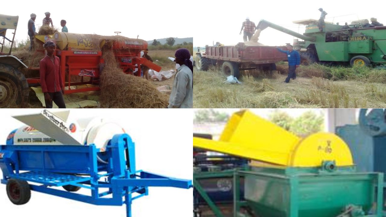 Rabbi Crop Harvesting