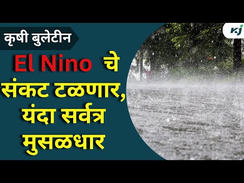 Agriculture News: अल निनो चे संकट टळले,यंदा सर्वत्र मुसळधार | El Nino 2024 | Rose Rate | Chana News