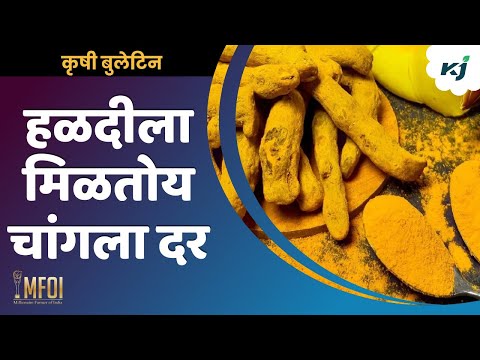 Onion rate update: कांद्याला सरासरी १० ते १२ रुपये किलोचा दर | on ion market news | onion news