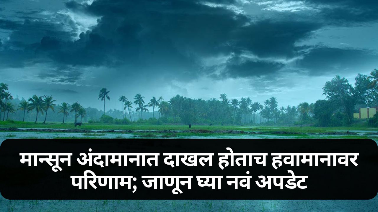 Maharashtra Weather News