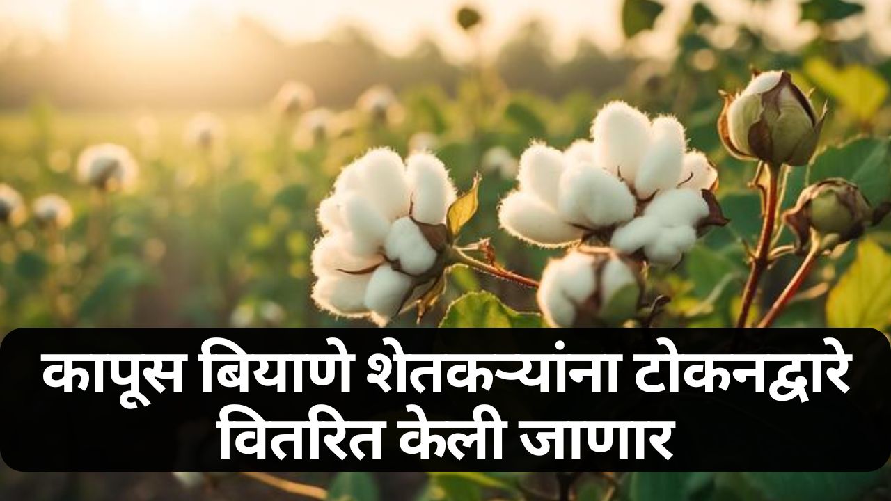 Cotton Cultivation News