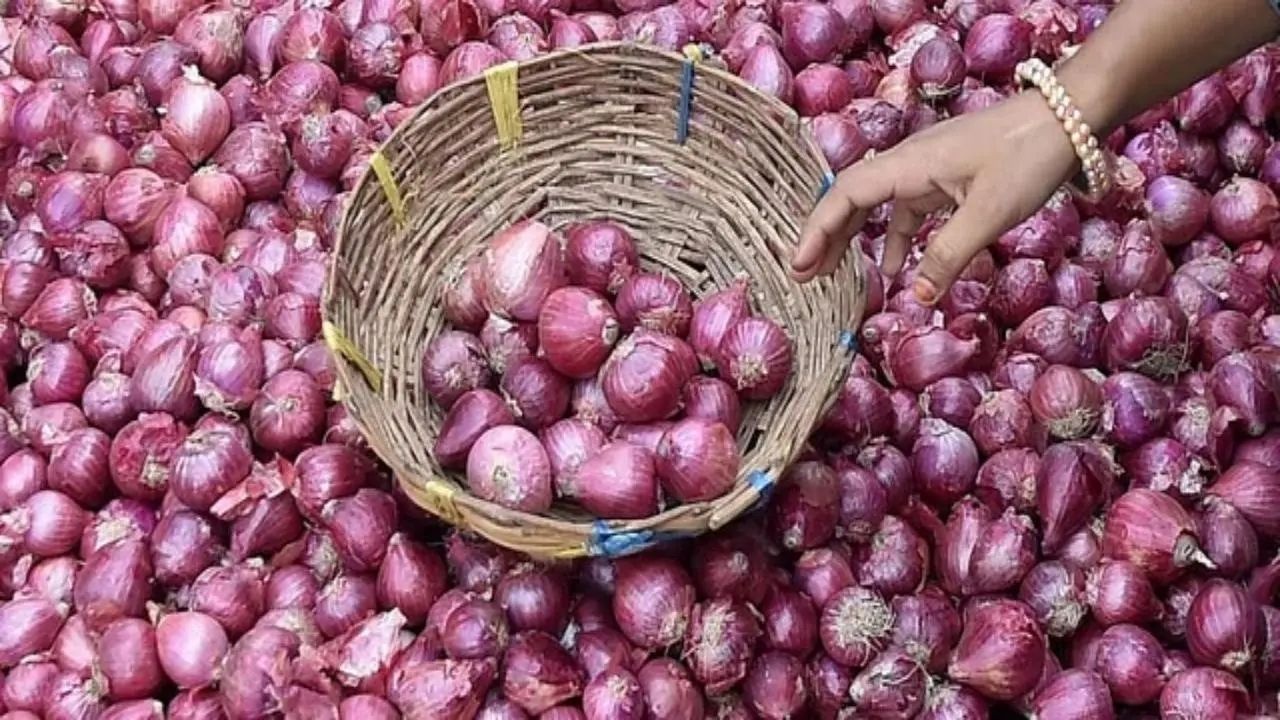 Onion Export Duty News