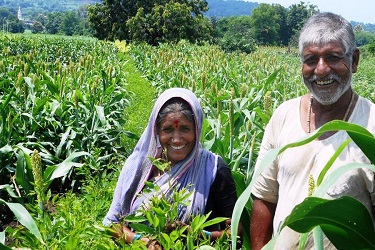 भारतीय शेतकरी आंदोलन व जागतिक शेतकरी आंदोलन यांचा सहसंबंध.