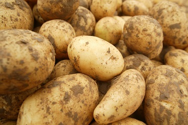 World most expensive potato