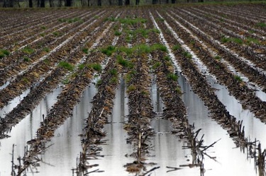 शेतकऱ्यांसाठी महत्वाची बातमी - पिकांच्या नुकसानीचे पंचनामे होणार आता सॅटेलाईट बेस