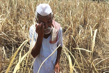 भारतीय शेती आणि शेतमजुरांच्या आत्महत्या.