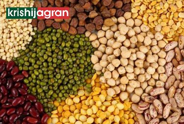 Pulses and oilseeds
