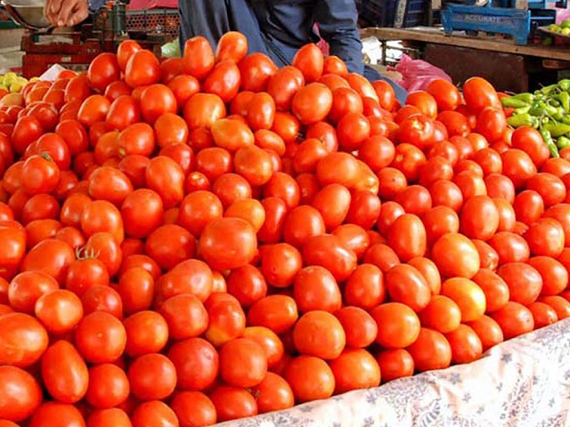 farmer earn millions from tomato farming