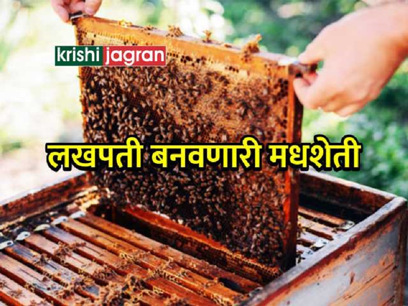 beekeeping agricultural business