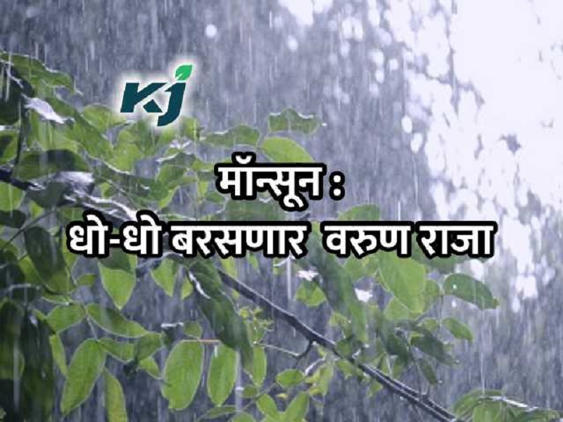 Monsoon News