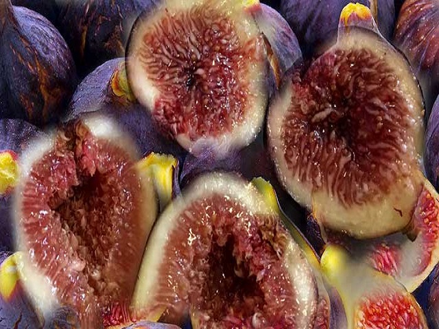 figs.