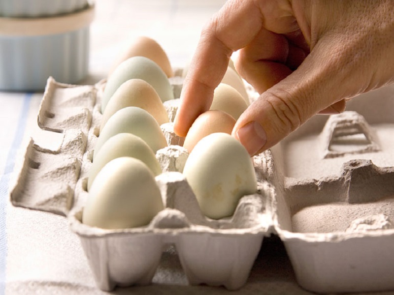 egg prices fall