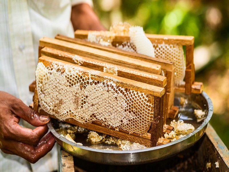मध केंद्र योजना