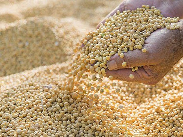 Soybean Market Price