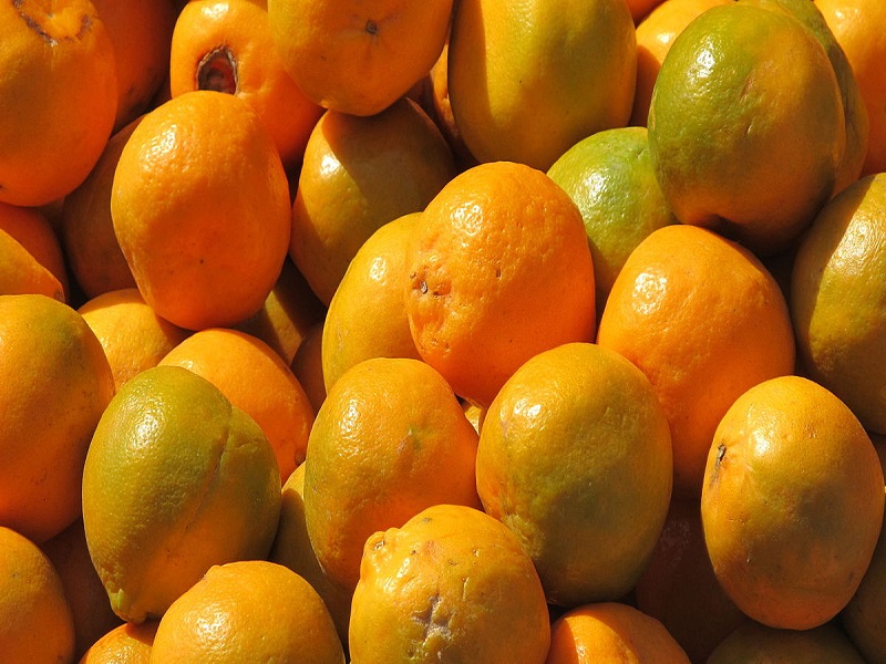 संत्री खाण्याचे फायदे